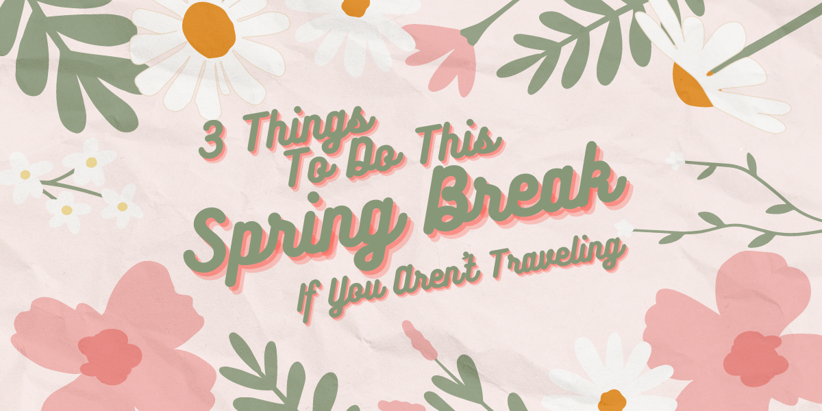 Surving Until Spring Break 3 Things To Do This Spring Break if You Aren't Traveling!
