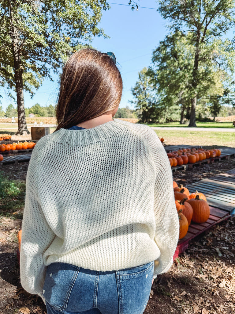 Eccentrics Boutique Sweater Aprés Ski Chunky Knit Sweater