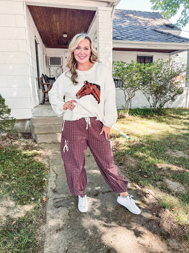 Eccentrics Boutique Sweater Horse Fever Plush Sweater