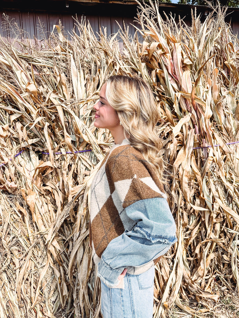 Eccentrics Boutique Sweater Liel Argyle Denim Sleeve Sweater--Brown