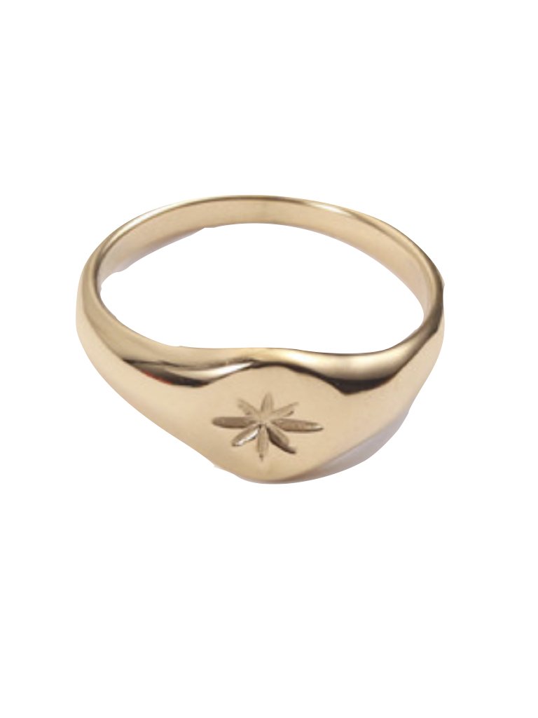 farrah b jewelry Jewelry Stardust Signet Ring